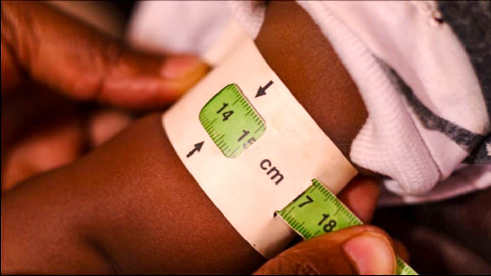 FASMO field activity